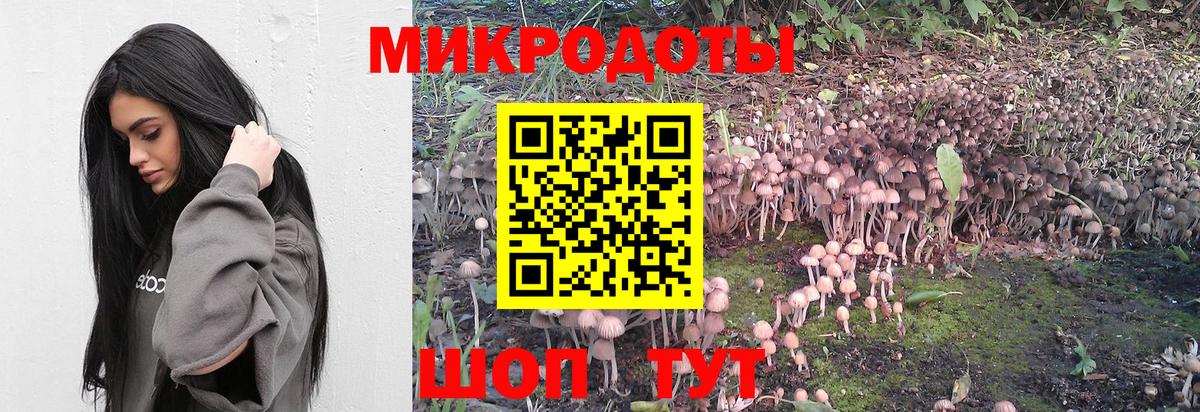 Вольск  Галлюциногенные грибы Psilocybine cubensis  Вход с VPN  Псилоцибиновые грибы ЛСД 