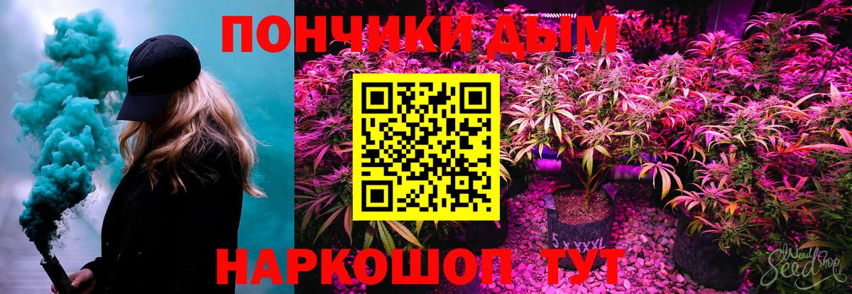 Конопля сатива Вольск